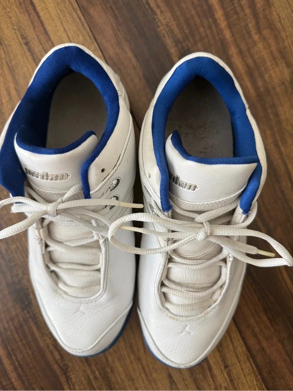 2005 Nike Air Jordan Team Reign White and Blue- retro